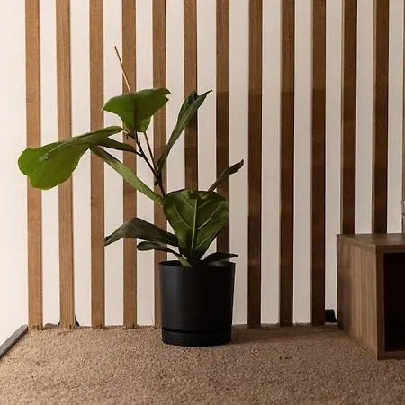 Przy Dworcu Glownym Pkp *